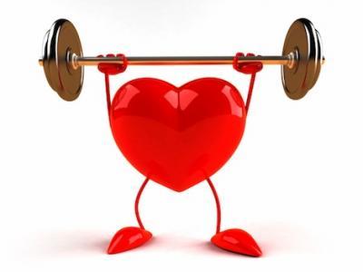 huile de chanvre sante cardio